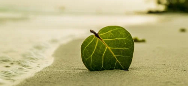 生態(tài)環(huán)境部：加強(qiáng)“三水”統(tǒng)籌、陸海聯(lián)動，深入打好碧水保衛(wèi)戰(zhàn)！