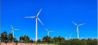 “兩高”項(xiàng)目盲目發(fā)展有哪些表現(xiàn)？看中央生態(tài)環(huán)保督察怎么說