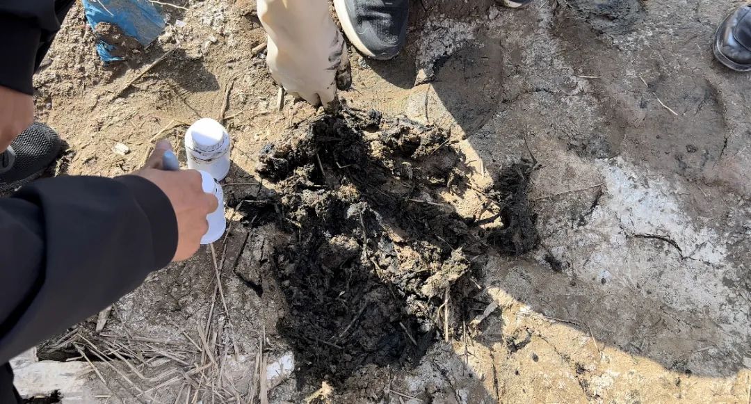 消失的污泥去哪兒了？-