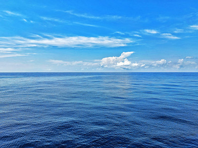 國(guó)際環(huán)保展|東海啟動(dòng)生態(tài)休漁期 多部門(mén)聯(lián)合守護(hù)海洋生命線